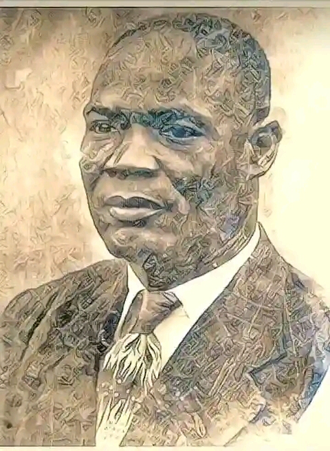 Chief Francis Brisibe Agamagu